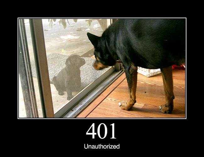 401 Unauthorized