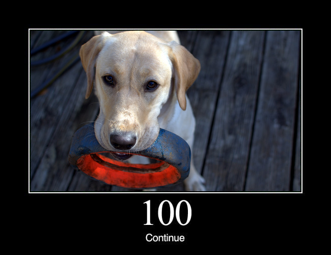100 Continue