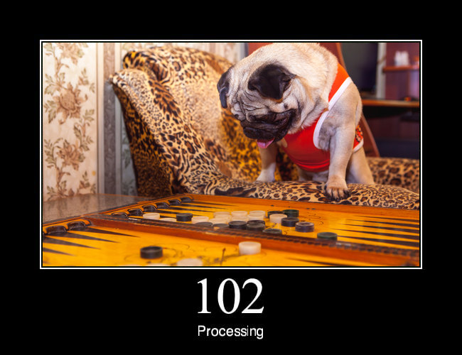 102 Processing