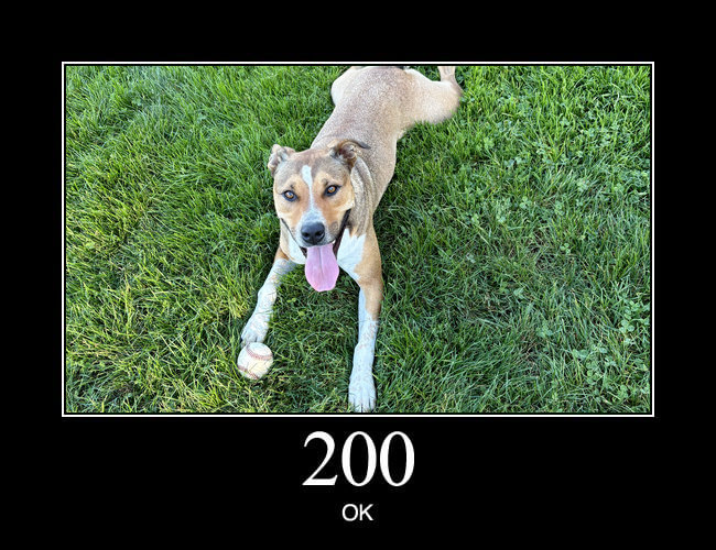 200 OK