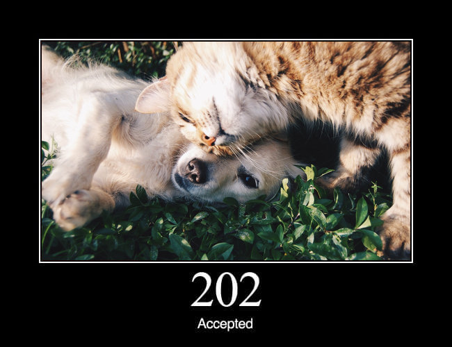 202 Accepted