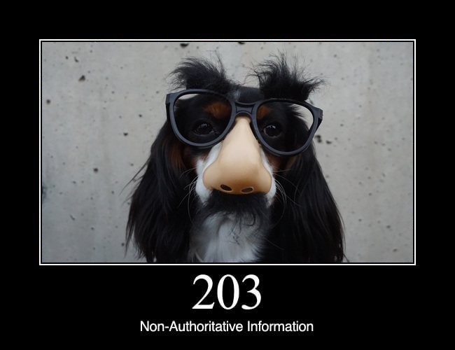 203 Non-Authoritative Information