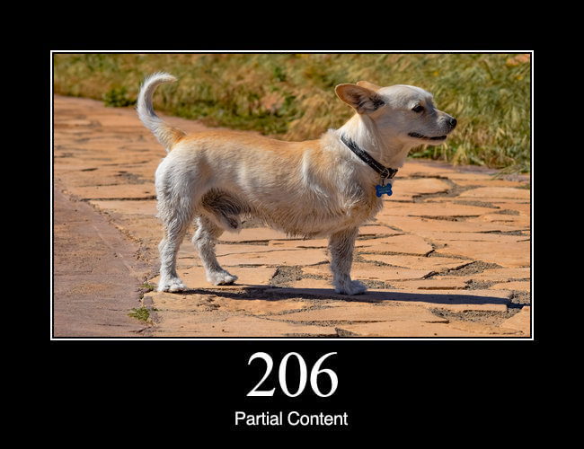 206 Partial Content
