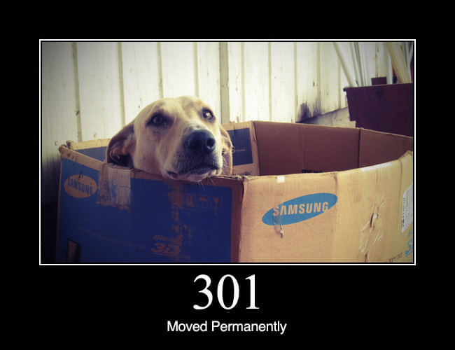 301 Moved Permanently