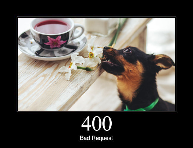 400 Bad Request