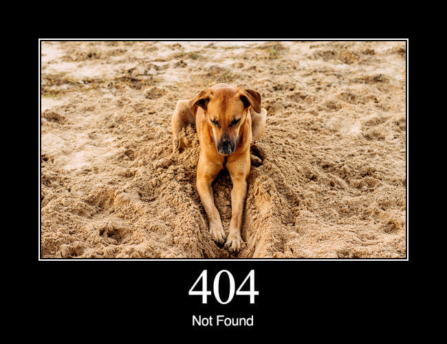 404 Not Found