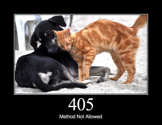 405 Method Not Allowed