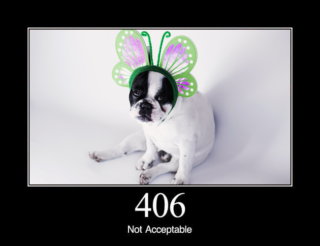 406 Not Acceptable