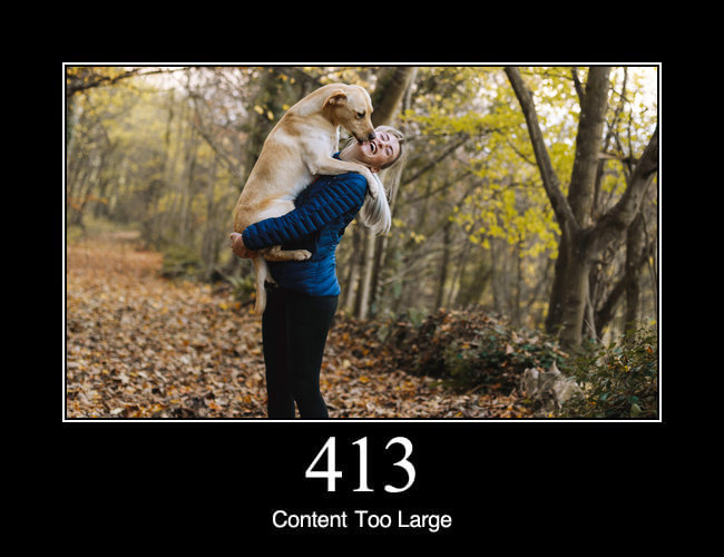 413 Content Too Large