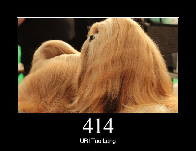 414 URI Too Long