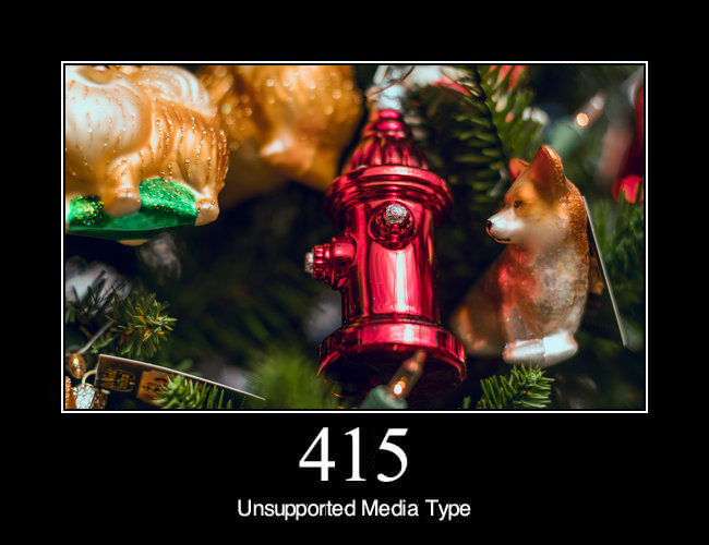415 Unsupported Media Type