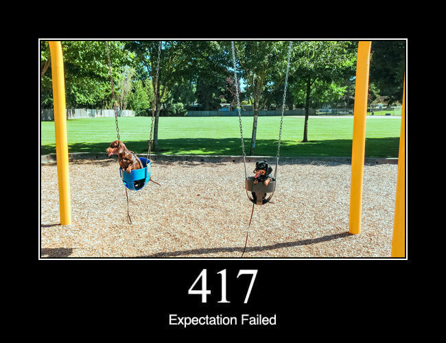 417 Expectation Failed