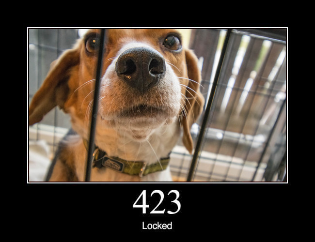 423 Locked