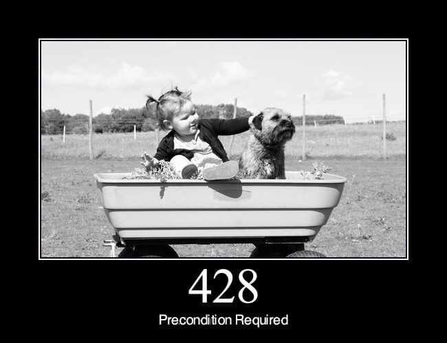 428 Precondition Required