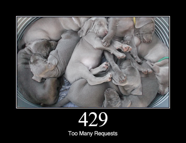 429 Too Many Requests