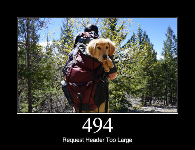 494 Request Header Too Large
