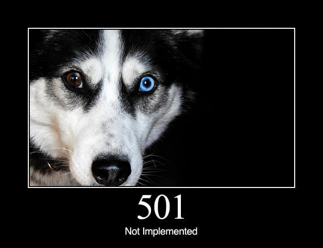 501 Not Implemented
