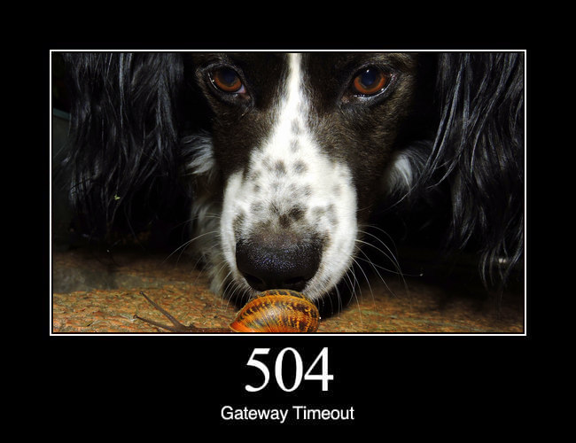 504 Gateway Timeout