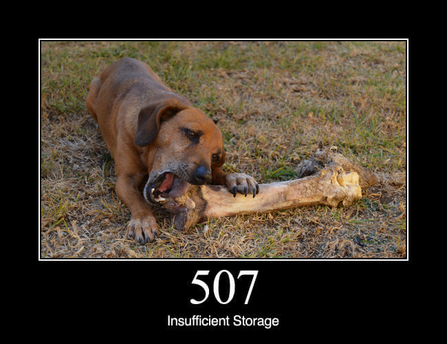 507 Insufficient Storage
