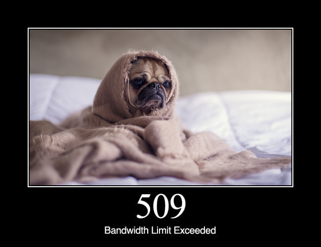 509 Bandwidth Limit Exceeded